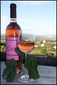 Hungarian Pinot-Noir Ros ros wine from Balaton Hungary