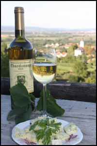 Ungarische Chardonnay Weiwein von Balaton Ungarn