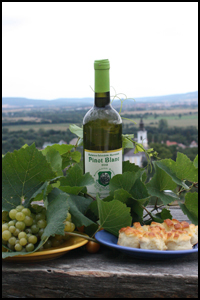 Hungarian Pinot Blanc white wine from Balaton Hungary